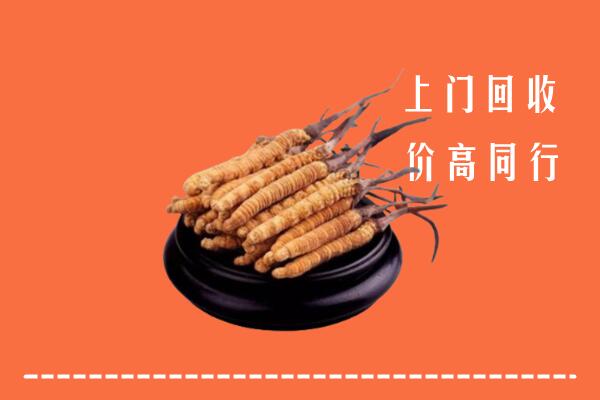 高价求购：塔河县回收散虫草