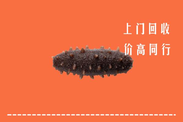 高价求购：塔河县回收海参