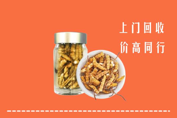 塔河县回收冬虫夏草